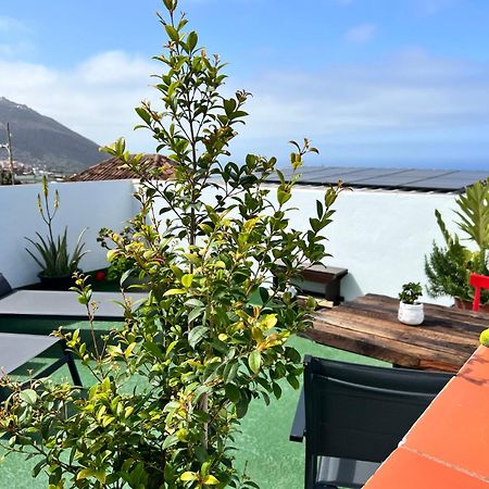 The Little Brezo Stone Home Tenerife Los Realejos Eksteriør billede