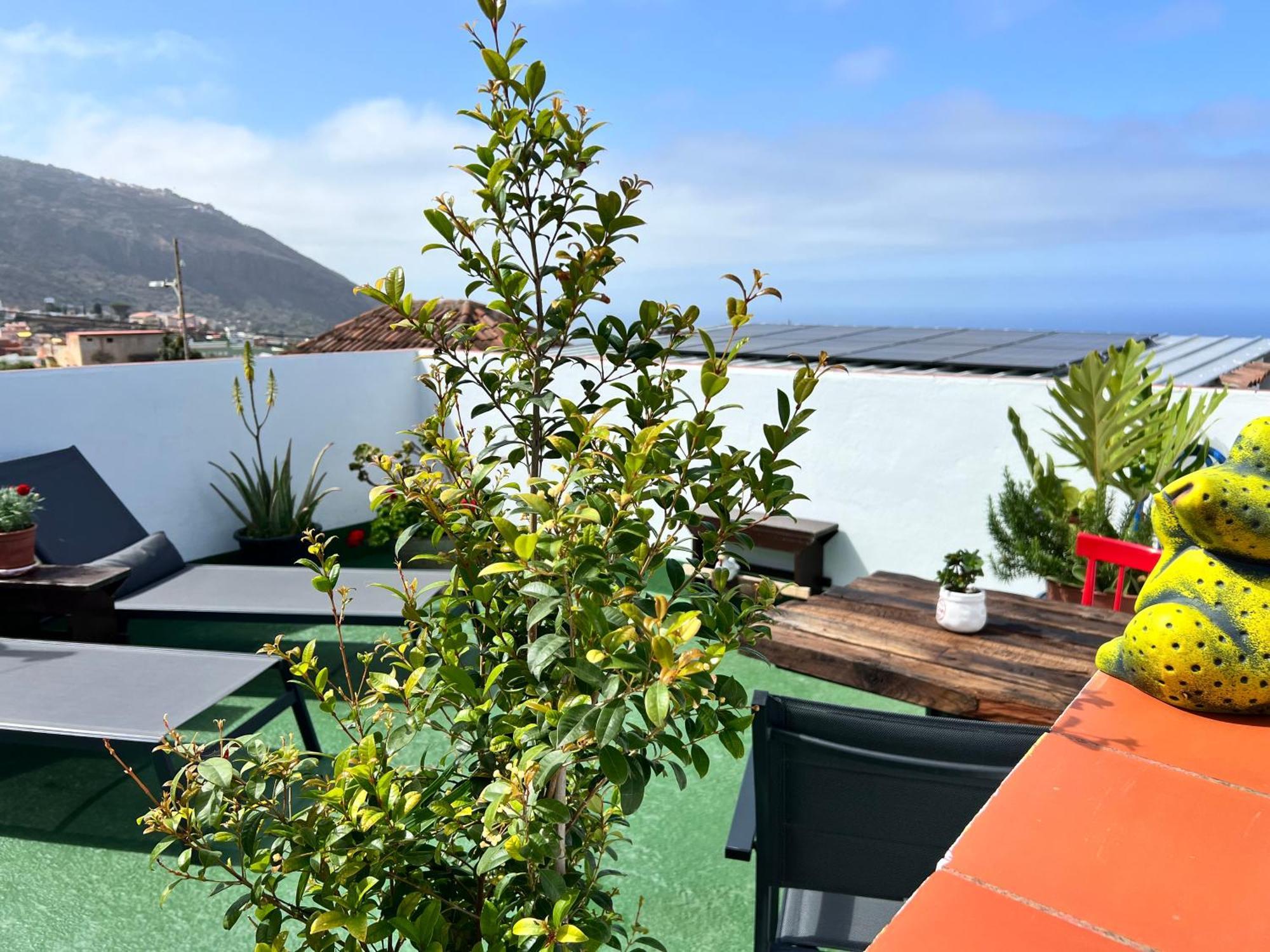 The Little Brezo Stone Home Tenerife Los Realejos Eksteriør billede